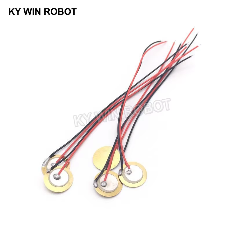 10 Buah Pelat Wafer Keramik Pi - Diy Electronics Components ulasan dan harga
