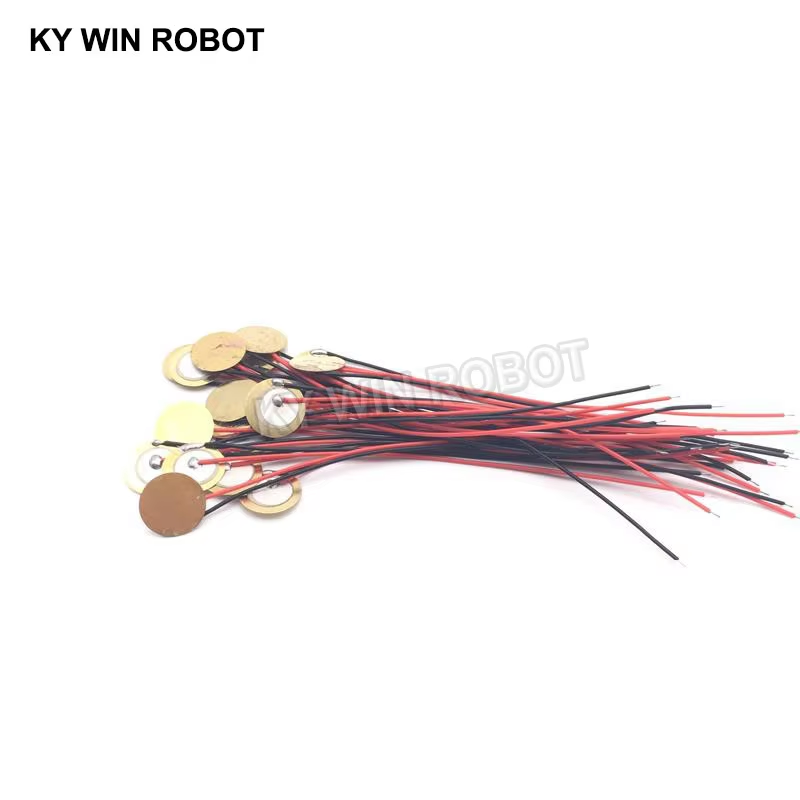 10 Buah Pelat Wafer Keramik Pi - Diy Electronics Components ulasan dan harga